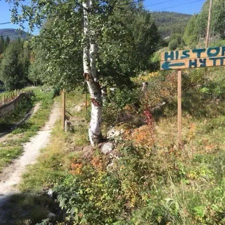 Ferienhaus Historie Hytten Rukkedalen Nesbyen Hallingdal - Har Ikke Innlagt Vann Eller Strom *