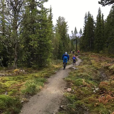 Historie Hytten Rukkedalen Nesbyen Hallingdal - Har Ikke Innlagt Vann Eller Strom